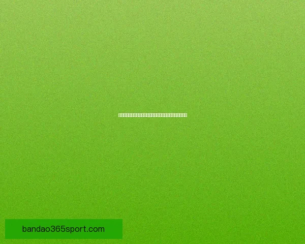 半岛体育下载平台最新版本全解析稳定性提升与用户体验优化 半岛体育下载平台最新版本全解析稳定性提升与用户体验优化