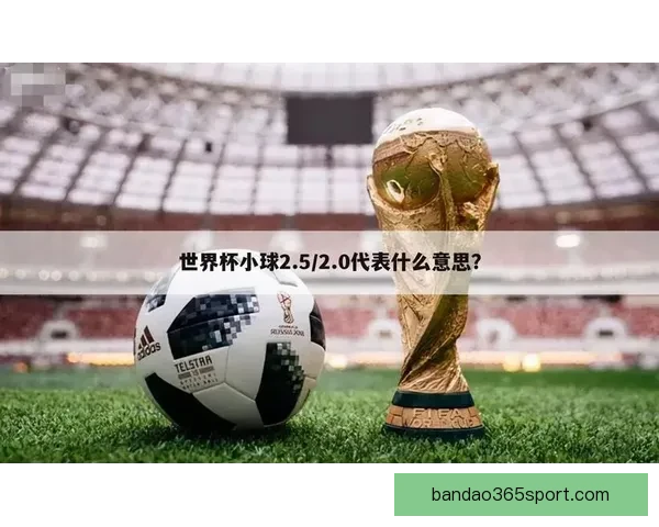 世界杯竞猜盘口分析全方位解读助你精准预测赛事结果