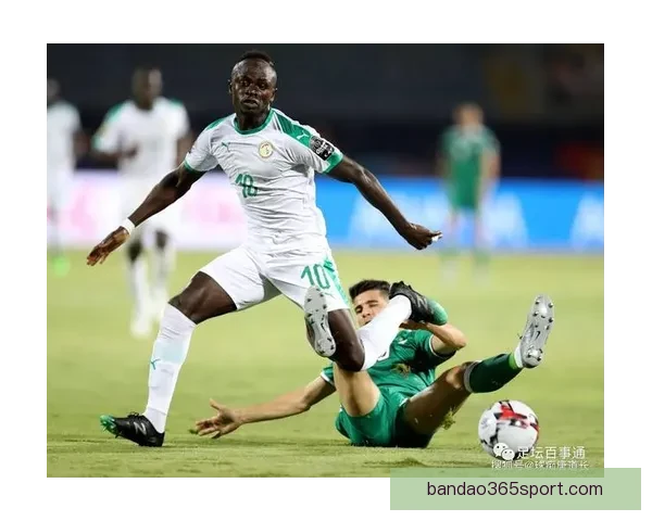 世界杯竞猜预测：掌握最新动态，精准分析助你赢得丰厚奖励